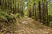 Circuit rando - la tour du Faudé