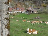 Circuit Trail Challenge des lacs