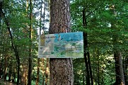 Le sentier des verriers