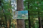 Le sentier des verriers