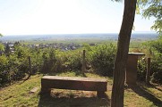Point de vue sur la plaine d'Alsace
