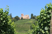 Le château de Kintzheim et son vignoble