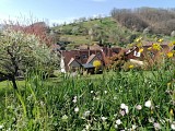 Chemin du Patrimoine "Le verre est dans le fruit"