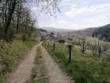 Chemin du Patrimoine "Le verre est dans le fruit"
