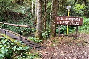 Chemin d'accès