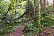 Chemin d'accès