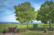 Le sentier des poètes alsaciens de Blienschwiller