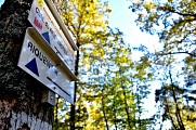 Circuit rando - de Kientzheim à Riquewihr par le chêne de la Chapelle