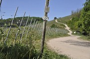 Randonnée - La Schrann
