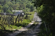 Randonnée - La Schrann