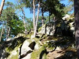 Sentier des Murailles et des Vignes - Dieffenthal