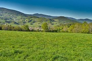 Circuit rando - des pierres tremblantes aux sources d'Orbey