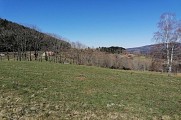 Randonnée - Les hauts de Steige et le Climont