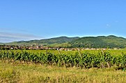 Circuit rando - la nécropole de Sigolsheim