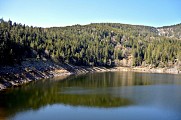 Circuit rando - le petit tour du lac Noir