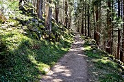 Circuit rando - le petit tour du lac Noir