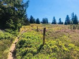 Circuit rando - la cascade du Rudlin par le Gazon du Faing