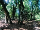Circuit rando - la cascade du Rudlin par le Gazon du Faing