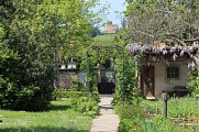 Kintzheim