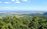 Circuit rando - d'Ammerschwihr au sommet du Galtz