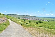 Circuit rando - d'Ammerschwihr au sommet du Galtz