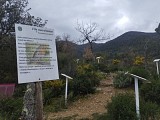 Sentier botanique de Montesquieu-des-Albères