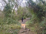Sentier botanique de Montesquieu-des-Albères