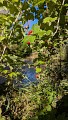 Sentier des gouffres - Les Gours_Les Gours
