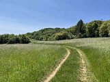 Les coteaux de Ludres