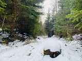 Circuit raquettes - La digue du Lac Blanc