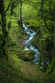 Les cascades du chemin d'Espagne_Ustou