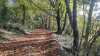 Chemin de Gabats