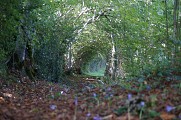 Sentier du Ker