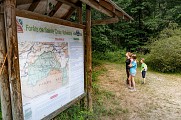 Forêt royale