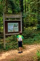 Forêt royale