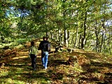 Sentier forêt