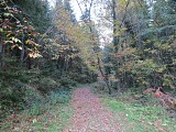 Chemin des carriers