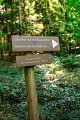 Forêt royale