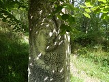 Forêt royale