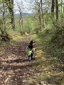 chemin boisé - balade sur les hauteurs de Saint-Girons
