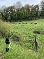 campagne de Saint-Girons
