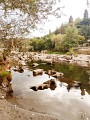 Les rives du Salat