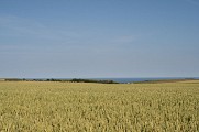 Les Wagands - Circuit n°7