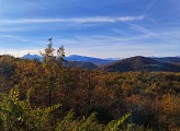 Sentier des Vignes2