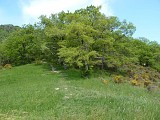 Pech de Montgailhard 2