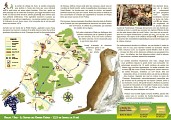 Le Sentier des Grands Chênes : Raslay/Saix
