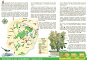Le sentier de l'Etang d'Arbonneau : Ceaux-en-Loudun