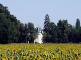 Le sentier de l'Etang d'Arbonneau : Ceaux-en-Loudun
