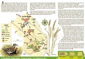 Le Sentier des Dolmens : Les Trois Moutiers/La Roche Vernaize