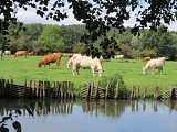 vallée de l'Avre
